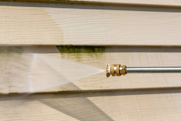 Best Roof Pressure Washing  in Watertown Town, MA
